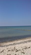 DSC 0007.JPG