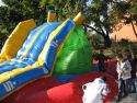 IMG 0054.JPG