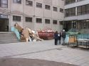 IMG 4555