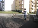 IMG 4633