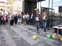IMG 6541