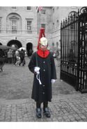 IMG 8897